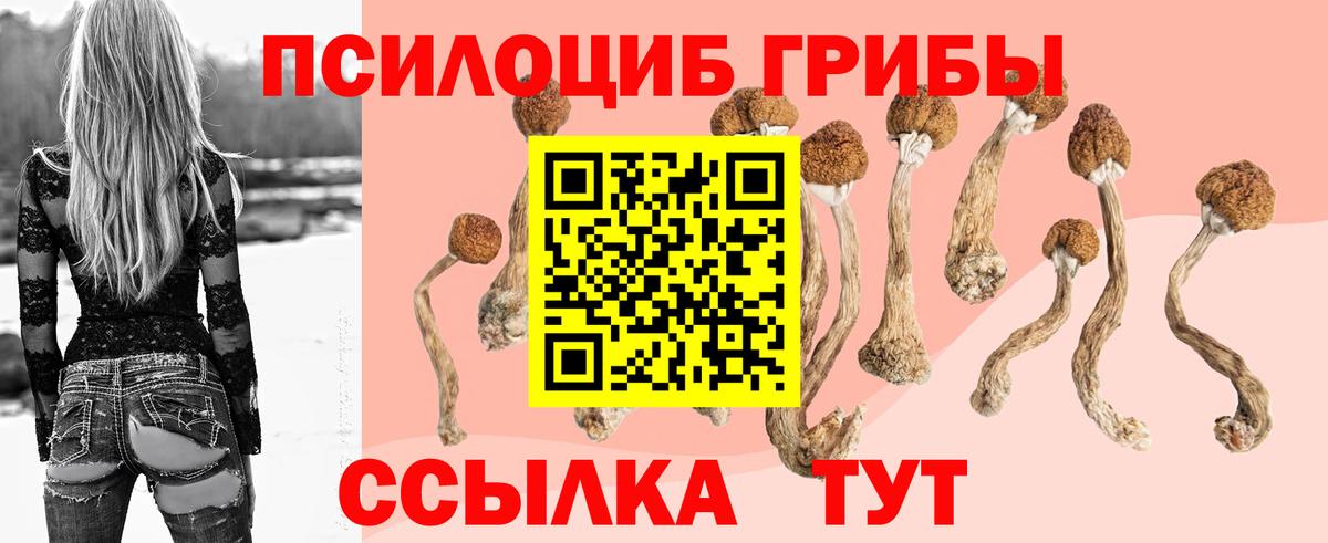Удомля  Галлюциногенные грибы Psilocybine cubensis  Вход с VPN  дарнет шоп  Псилоцибиновые грибы MAGIC MUSHROOMS 