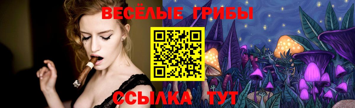 Псилоцибиновые грибы прущие грибы Удомля